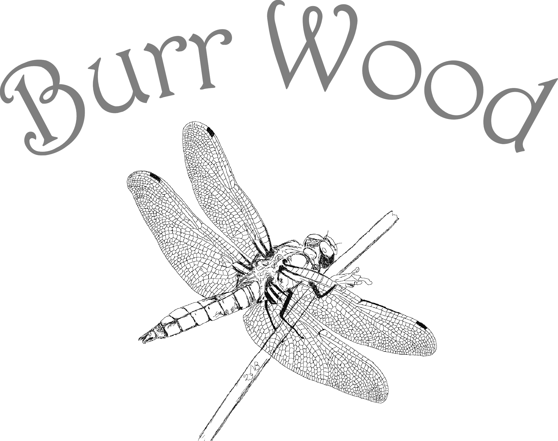 Welcome to Burr Wood